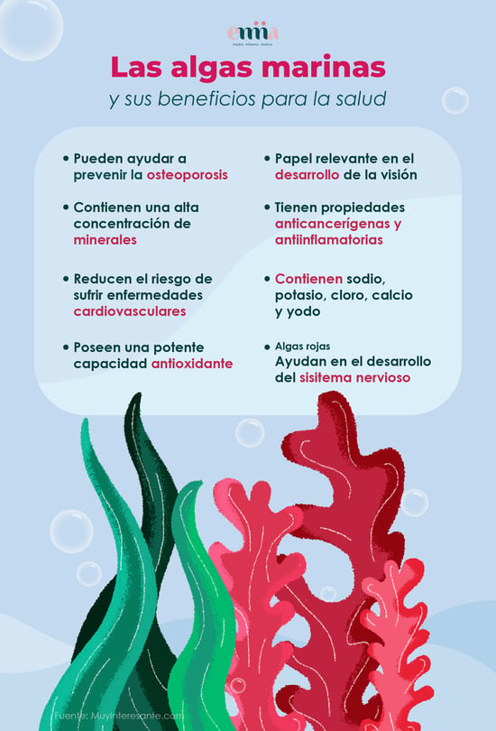 Algas marinas y sus beneficios para la salud