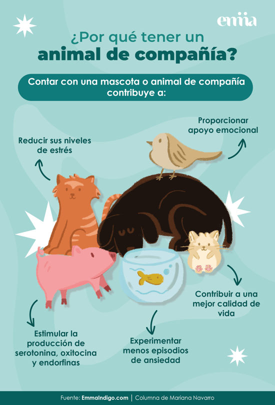 Animal de compañia