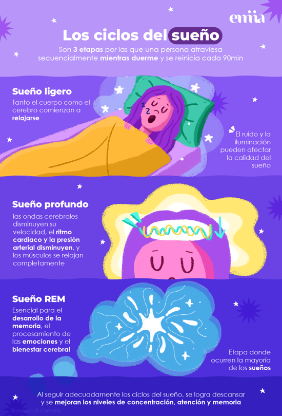 Ciclos del sueño