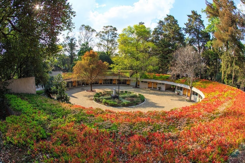 Parque Botánico Chapultepec