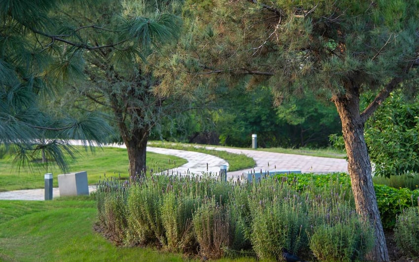 Parque Tamayo - Chapultepec