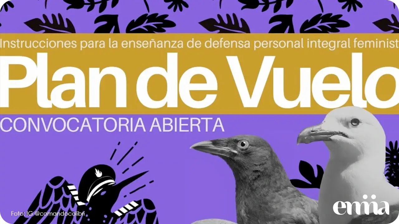 Comando Colibrí, organización transfeminista, lanza convocatoria para escuela piloto de defensa personal 